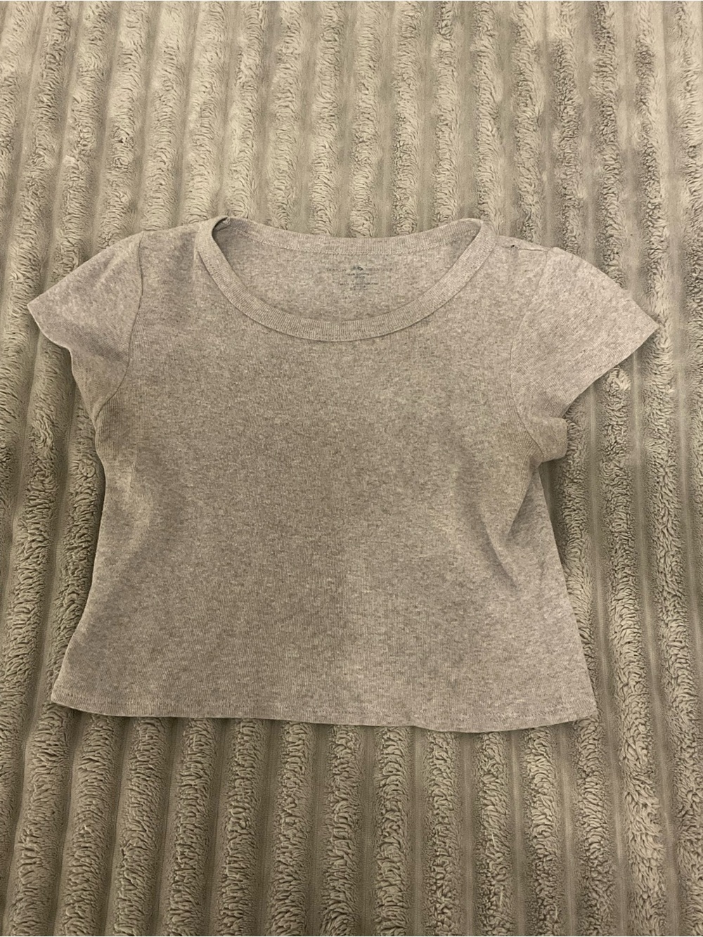 Brandy Melville Heather Gray Crop Tee